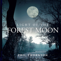 Light Of The Forest Moon
